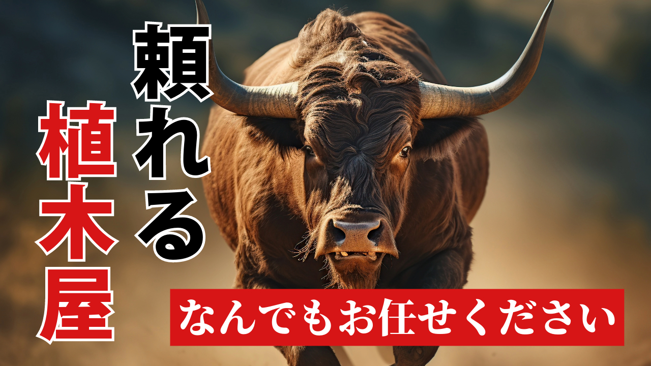 【企業様からのご依頼】駐車場の植木、生け垣をまるごとお手入れの外観