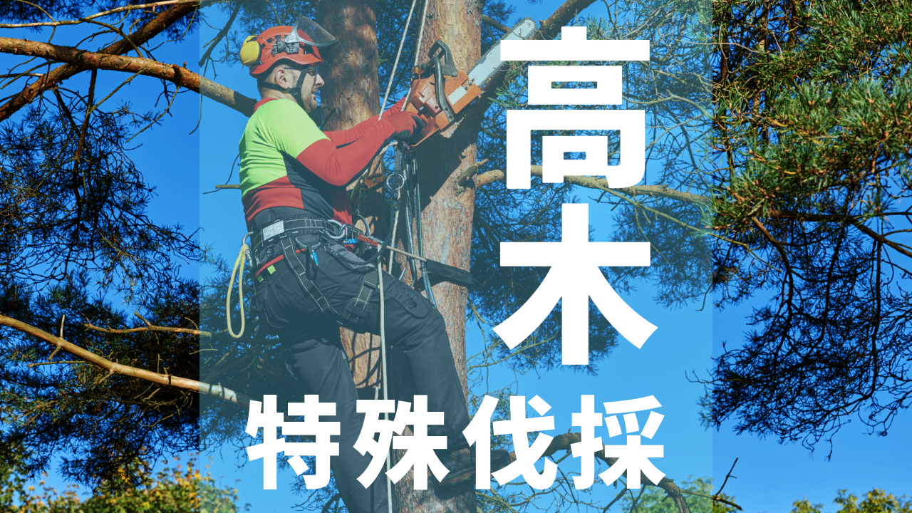 施工実績】クレーンを使用した高木・特殊伐採も施工例のご紹介【倒木 