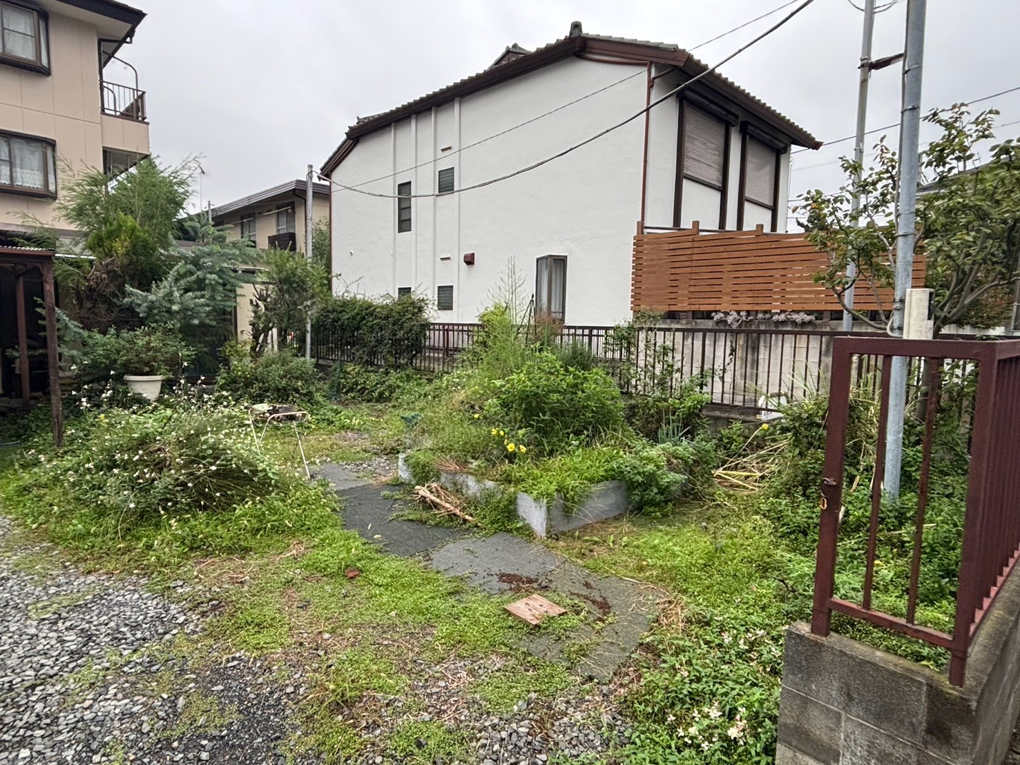 庭木撤去前 植木や雑草が生い茂った状態